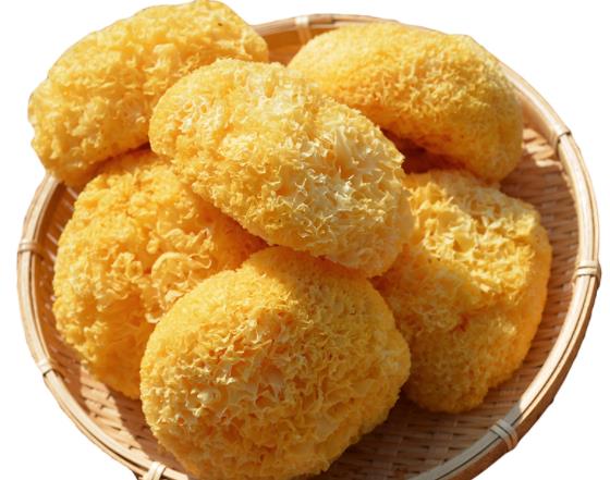 银耳可以天天吃吗？