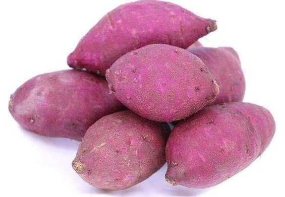 紫薯放冰箱可以保存多久 新鲜10~20天 煮熟2~3天