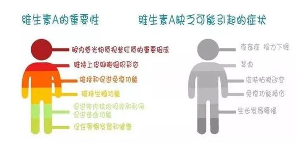 维生素A