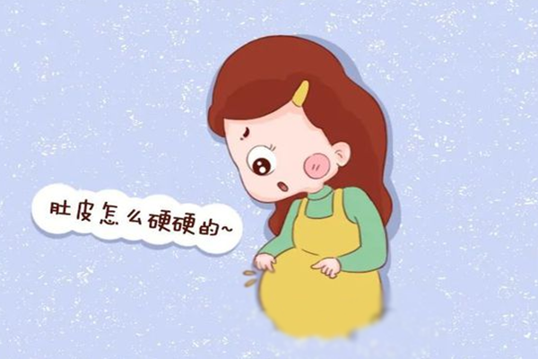 肚子硬硬的