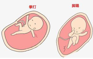 胎动空间大