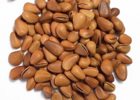 松子发霉了还能吃吗 霉菌造成胃肠道菌群紊乱
