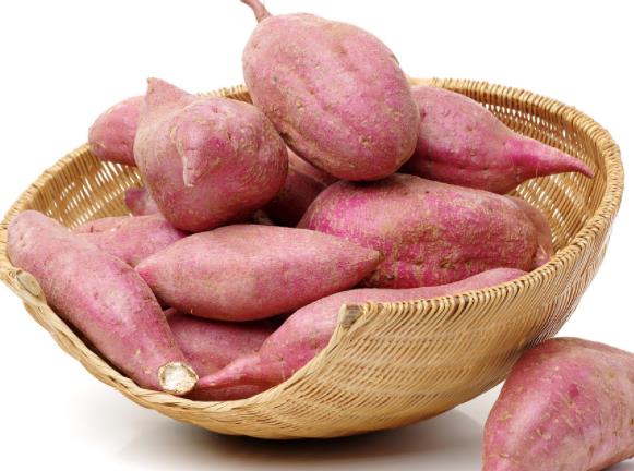红薯是凉性还是热性 温性食物不容易生湿热