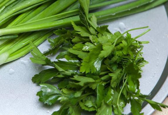香菜属于发物吗 和韭菜芋头魔芋等列为结论性发物