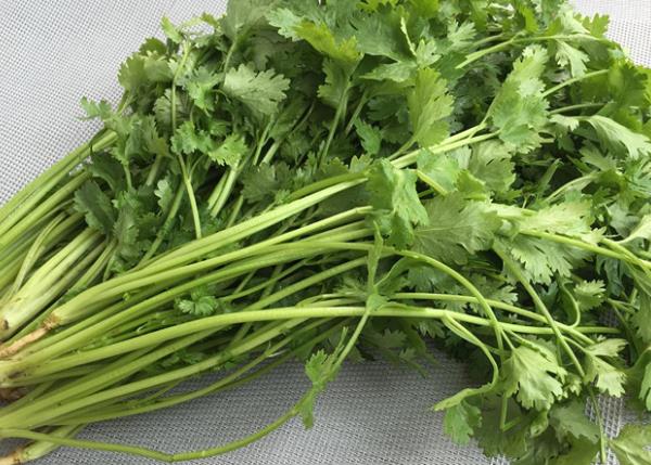 香菜的功效与作用 治疗麻疹高血压预防流行性感冒
