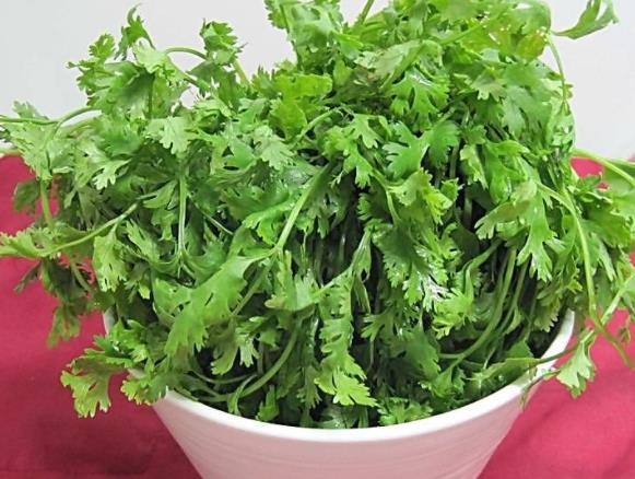 孕妇可以吃香菜吗 易引起宫缩诱发流产