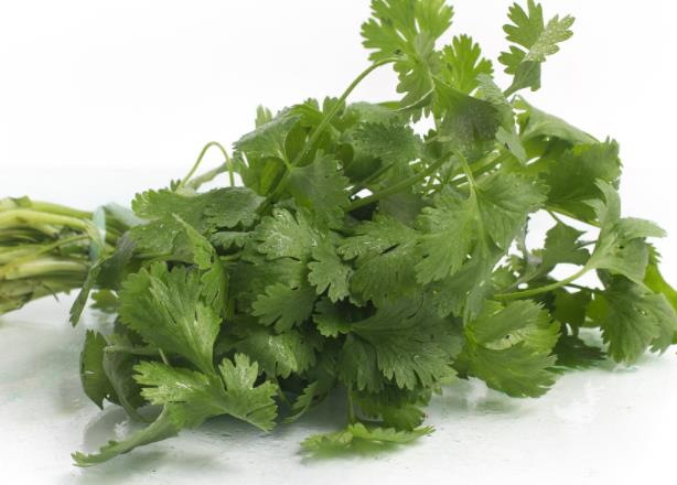 感冒可以吃香菜吗 辛温解表缓解风寒感冒症状