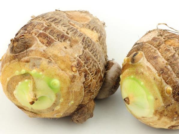 吃芋头放屁多正常吗 纤维素淀粉含量高导致消化不良