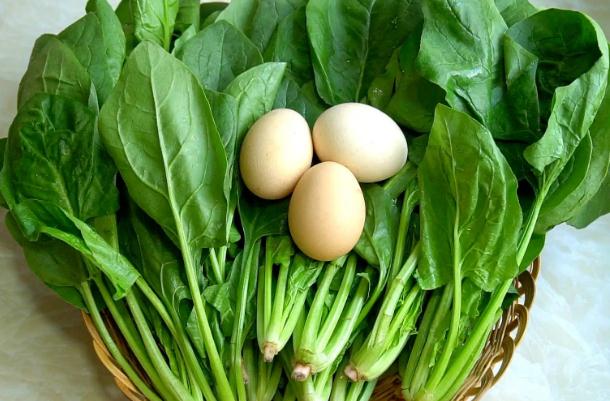菠菜怕冻吗？菠菜种子直接撒在地里种可以吗？