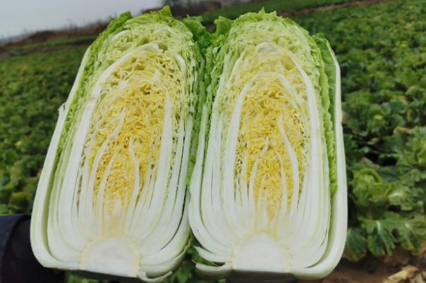 小白菜怎么炒？小白菜焯水后冷冻还能吃吗？