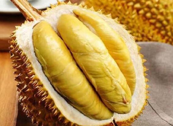 吃榴莲对子宫卵巢好吗 维生素刺激体内雌性激素