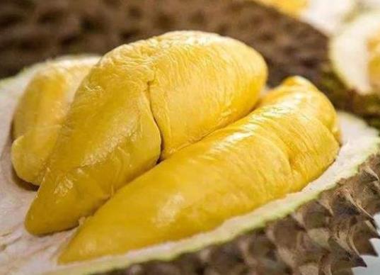 吃榴莲对皮肤好吗 膳食纤维果胶减少宿便促进细胞代谢