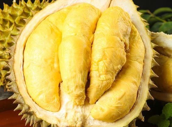 吃榴莲便秘怎么回事 纤维素增加肠胃负担阻塞肠道