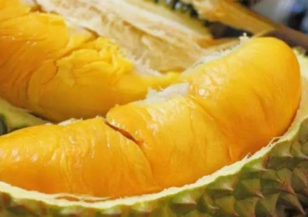 月经期可以吃榴莲吗 性味偏温热 活血散寒健胃消食增强免疫力
