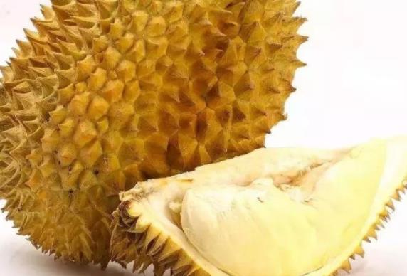 吃榴莲上火吗