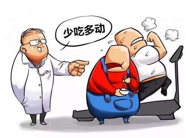 胰岛素过高导致肥胖 胰岛素过高导致肥胖