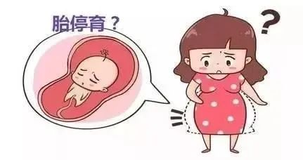 胎心停止导致妊娠反应消失 胎心停止导致妊娠反应消失