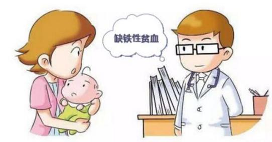 黑芝麻改善贫血