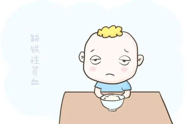 菠菜粥改善贫血