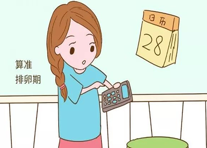 如何计算准确的排卵期呢