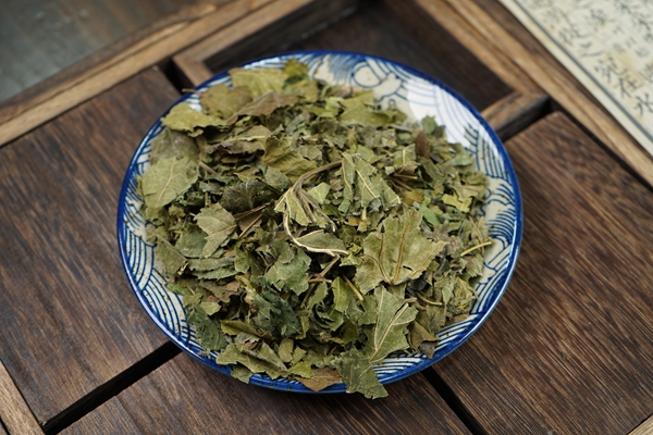 桑叶有什么功效和作用