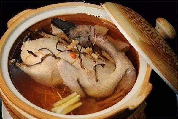 虫草熟地老鸭汤具有滋肺补肾还可以养胃的功效及做法
