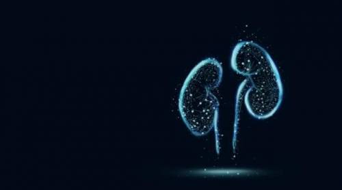 控制好疾病预防肾病