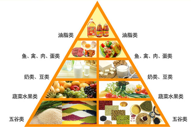 学生营养均衡