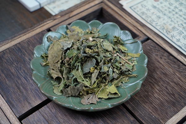桑叶泡水喝有什么功效