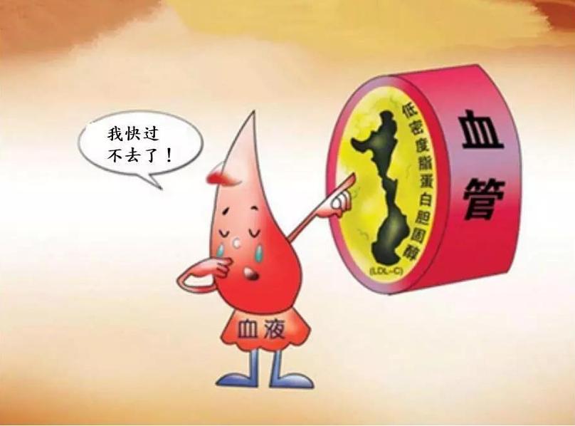 胆固醇高的人，这几个饮食禁忌要牢记在心