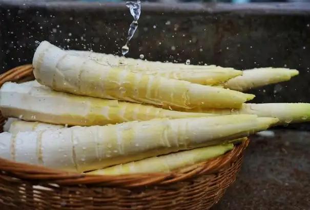 北方竹笋能吃吗？新鲜竹笋泡了三天还能吃吗？