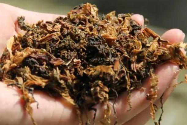 吃梅干菜的好处是什么？梅干菜吃多了会便秘吗？