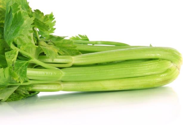 芹菜怎么做才好吃 凉拌热炒,避免与阿莫西林同吃