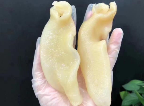 吃花胶会导致过敏吗 蛋白质引起瘙痒腹泻头晕恶心等