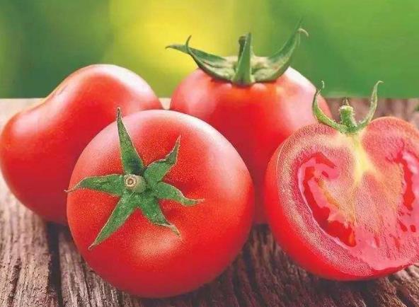 番茄没有籽怎么回事 成熟没有变质不影响食用