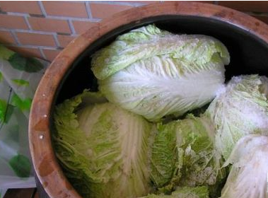 腌白菜