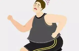 气虚型肥胖