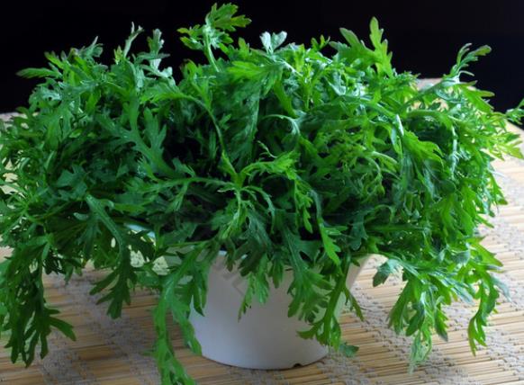 吃茼蒿菜可以减肥吗 低热量,挥发性油化解油脂
