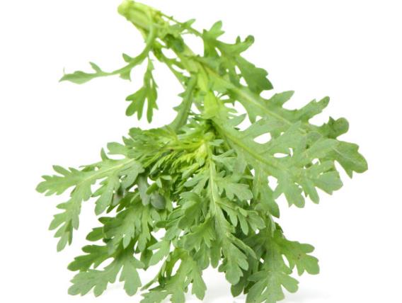 茼蒿可以天天吃吗 性凉 体质虚寒慎吃