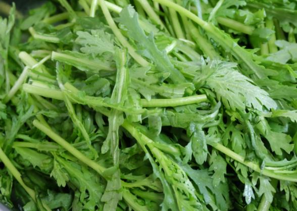糖尿病人可以吃茼蒿吗 可溶性膳食纤维改善糖耐量