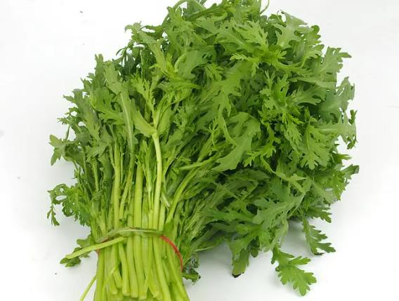 哺乳期能吃茼蒿吗 挥发油宽中理气消食开胃促进排便