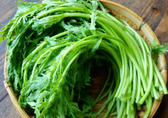 孕妇能吃茼蒿吗 提高食欲利肠通便缓解恶心