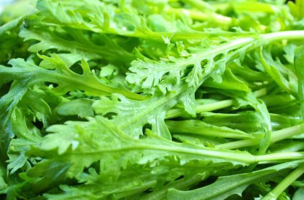 茼蒿吃起来苦正常吗 生物碱苦涩 水可去除
