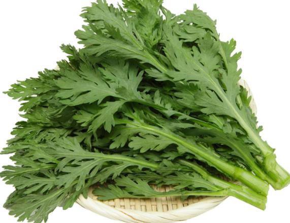 茼蒿吃起来苦正常吗 生物碱苦涩 水可去除