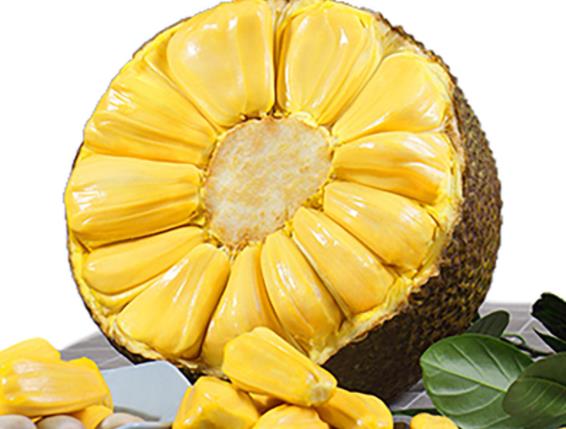 菠萝蜜粘液怎么洗掉 盐水洗倒油塑料袋摩擦