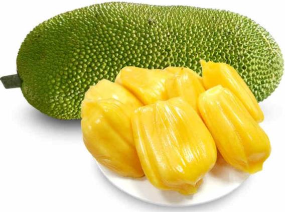 吃菠萝蜜拉肚子怎么回事 水分膳食纤维果胶促进肠胃蠕动