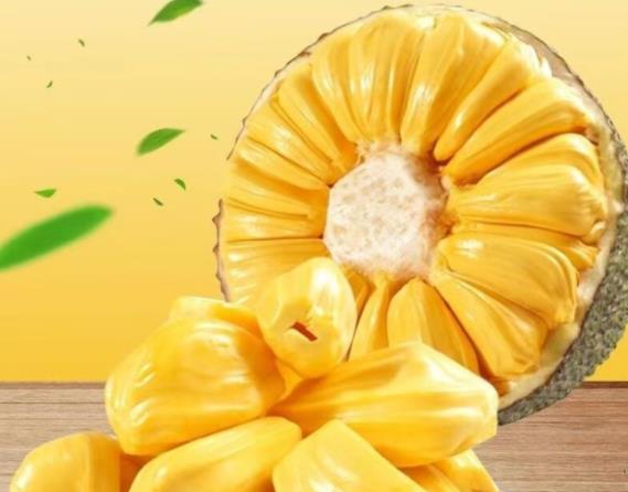 菠萝蜜可以天天吃吗 200-250克为宜,补充营养