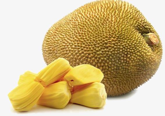 吃菠萝蜜可以喝牛奶吗 鞣酸成分生成沉淀物影响健康