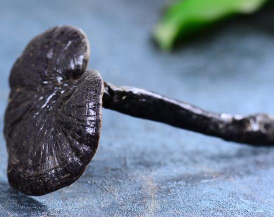 吃灵芝会拉肚子吗 滋补过量引发腹泻