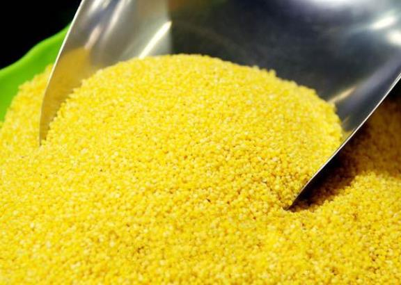 吃小米可以养胃吗